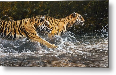 Tiger Metal Print featuring the painting Wet and Wild by Alan M Hunt