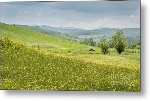 Farm Metal Print featuring the photograph Wildflower Meadows, Transylvania by Perry Rodriguez