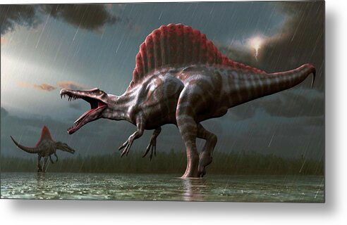 Prehistoric Era Metal Print featuring the digital art Artwork Of A Spinosaurus Dinosaur by Mark Garlick