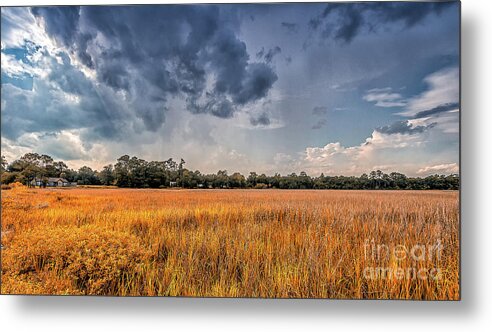 Talahi-island Metal Print featuring the photograph A Storm is Coming by Bernd Laeschke