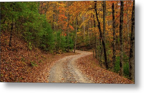 Woods Metal Print featuring the photograph Around the Next Bend by Marcy Wielfaert