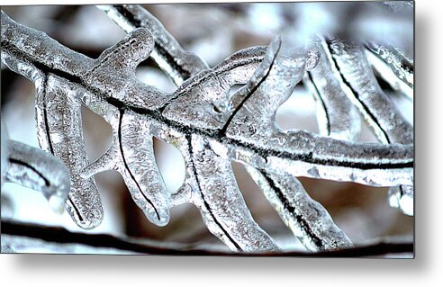 Art Metal Print featuring the photograph Crystal Branch by Joan Han