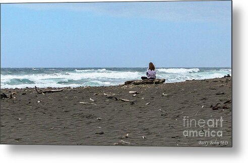 Nature Metal Print featuring the photograph Meditation by Barry Bohn