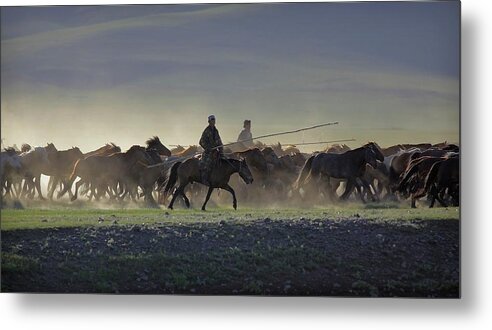 Horse Metal Print featuring the photograph Nomadic Mongolian Men Herd Horses by Timothy Allen