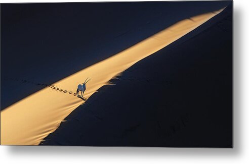 Africa Metal Print featuring the photograph Oryx & Dune by Dinglu (xh) Yang