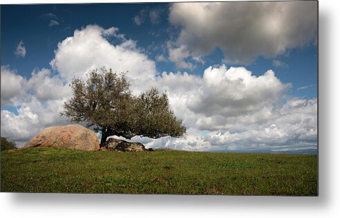 San Diego Metal Print featuring the photograph Ramona Grasslands Tree and Clouds by William Dunigan