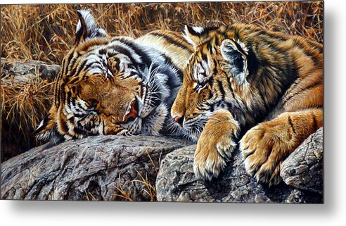 Tiger Metal Print featuring the painting Sleepers - Tiger and Cub by Alan M Hunt