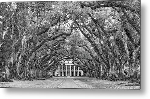 Oak Alley Plantation Metal Print featuring the photograph The Old South Version 3 bw by Steve Harrington