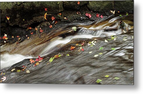 Autumn Metal Print featuring the photograph Autumn Falls II by Cameron Wood