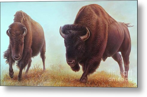 Buffalo Metal Print featuring the painting Buffalo by Hans Droog