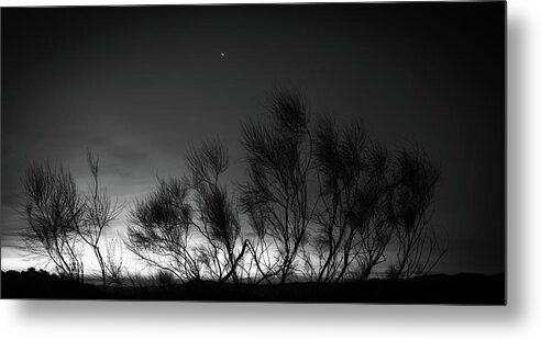 Dawn Metal Print featuring the photograph Daybreak in the Campo by Gary Browne
