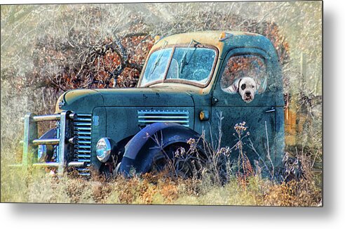 Truck Metal Print featuring the photograph Dog in the Truck by Jolynn Reed