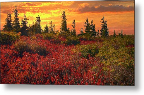 Dolly Sods Metal Print featuring the photograph Impressionistic Dolly Sods by Art Cole