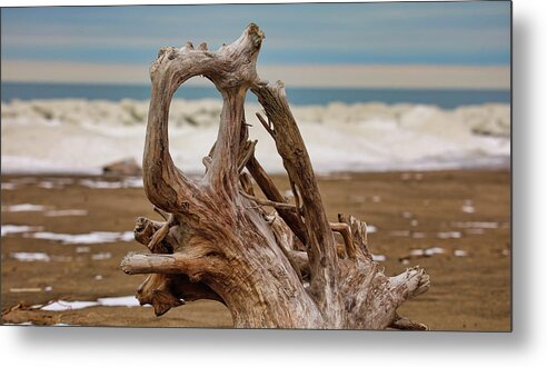 Lake Erie Metal Print featuring the photograph Lake Erie Driftwood by Scott Burd