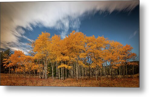 Colorado Metal Print featuring the photograph Long Exposure of Aspens by Kevin Schwalbe