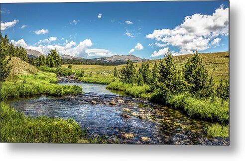  Metal Print featuring the photograph Mountain Creek by Laura Terriere