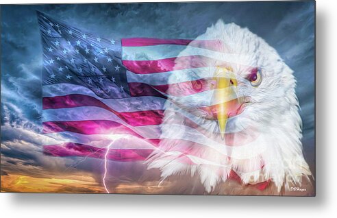 Eagles Metal Print featuring the photograph Patriotic Sky III by DB Hayes
