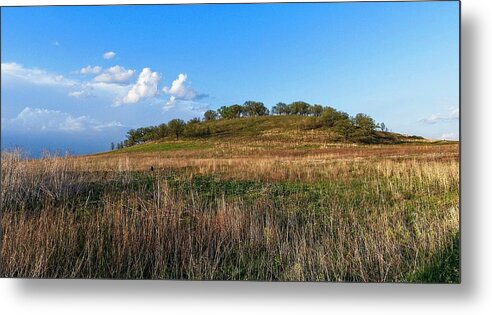Middleton Metal Print featuring the photograph Pheasant Branch Conservancy 1, Middleton, WI by Steven Ralser