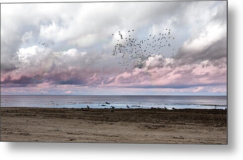 Photography Metal Print featuring the photograph Poetic Beach Vibes Jurmala by Aleksandrs Drozdovs