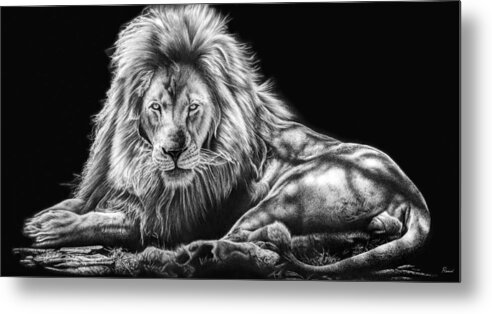 Lion Metal Print featuring the drawing Reliance by Casey 'Remrov' Vormer