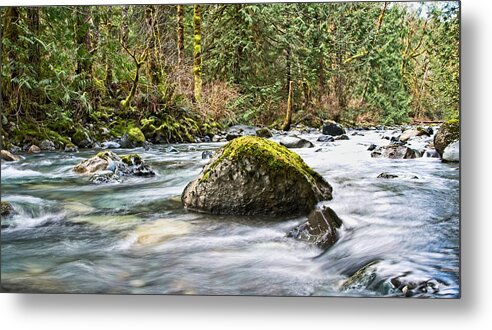 Rosewall Metal Print featuring the photograph Rosewall Creek 2 by Chuck Burdick