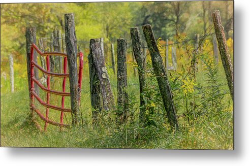 Cades Cove Metal Print featuring the photograph Sparks Lane Appeal by Marcy Wielfaert