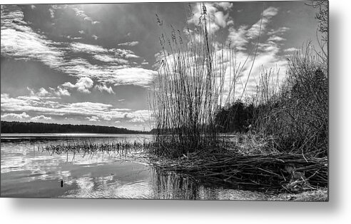 Nature Photography Metal Print featuring the photograph Spring Riverside In Black And White by Aleksandrs Drozdovs