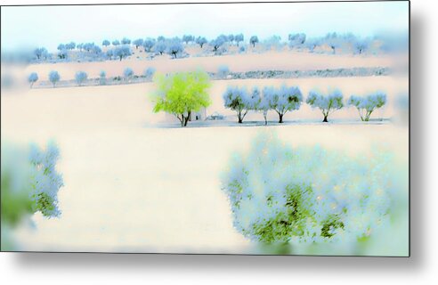 Spring Metal Print featuring the photograph Spring Snow by Edward Shmunes