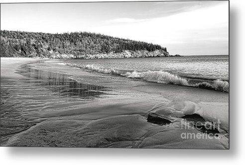 Acadia Metal Print featuring the photograph The Sand Beach at Acadia National Park by Olivier Le Queinec