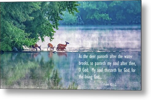 Deer Metal Print featuring the photograph Thirsty for More Than Water by Marcy Wielfaert