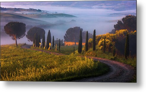 Italy Metal Print featuring the photograph Val d'Orcia by Evgeni Dinev