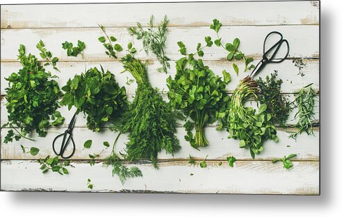 Spice Metal Print featuring the photograph Various fresh green kitchen herbs by Foxys_forest_manufacture