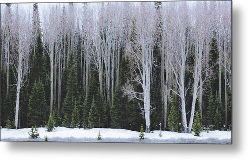 National Monument Metal Print featuring the photograph Winter White by Jason Roberts