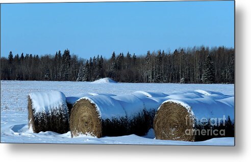 Canada Metal Print featuring the photograph Winter's Coming by Mary Mikawoz