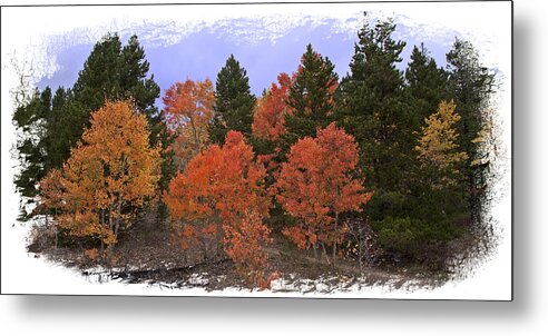 Aspen Metal Print featuring the photograph Aspen Panorama #1 by Judy Deist