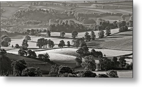 Devon Field Metal Print featuring the photograph Morning light on fields #1 by Pete Hemington