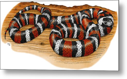 Art Metal Print featuring the photograph Mountain Kingsnake by Roger Hall
