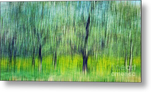 Abloom Metal Print featuring the photograph The Orchard #1 by Darren Fisher