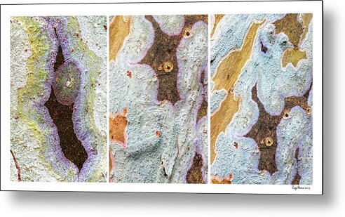 Lichen Metal Print featuring the photograph Alien Triptych Landscape by Rudy Umans