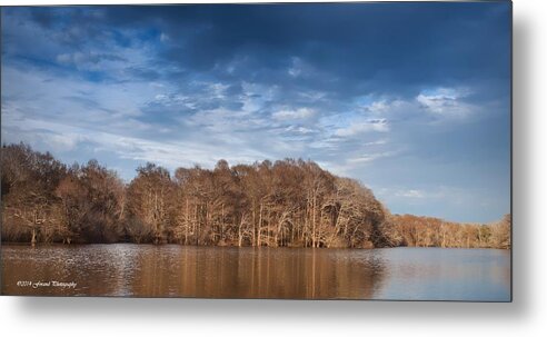 Tree Metal Print featuring the photograph Apalachicola River 2 by Debra Forand