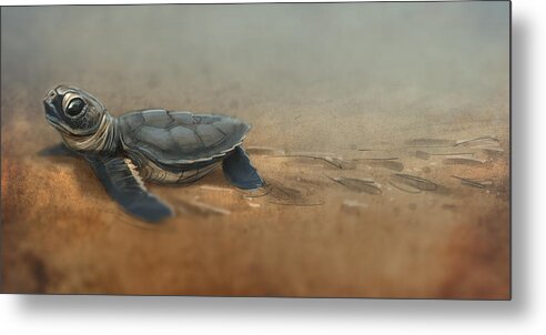 Sea Turtle Metal Print featuring the digital art Baby Turtle by Aaron Blaise