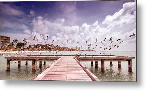 Animal Themes Metal Print featuring the photograph Birds Scatter by Photo By Dan Goldberger