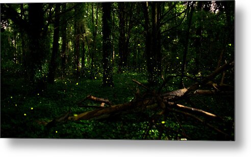 Firefly Metal Print featuring the photograph Firefly Magic by Stacy Abbott