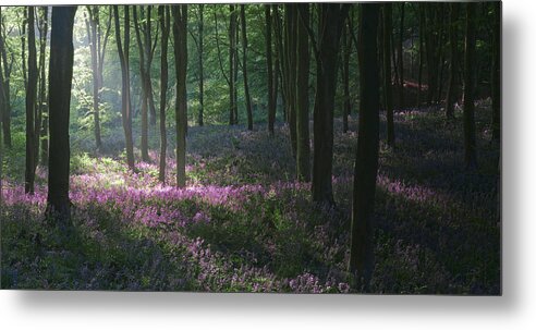 Bluebells Metal Print featuring the photograph Heaven's Garden by John Chivers