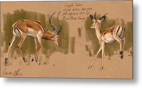  Metal Print featuring the digital art Impala Studdies by Aaron Blaise