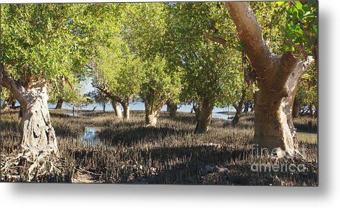 Africa Metal Print featuring the photograph mangroves Madagascar 3 by Rudi Prott
