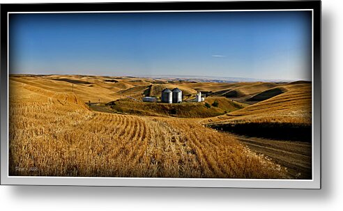 Palouse Metal Print featuring the photograph Palouse Wheat Fields by Farol Tomson