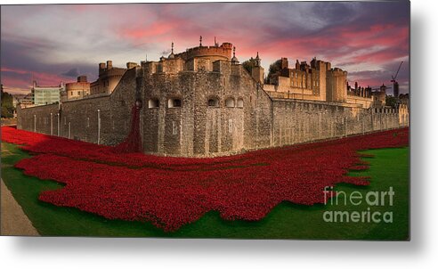 Poppies Metal Print featuring the digital art Poppy Sea by Airpower Art