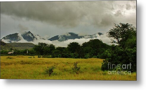 Landscape Metal Print featuring the photograph Rainy Day in Paradise by Craig Wood