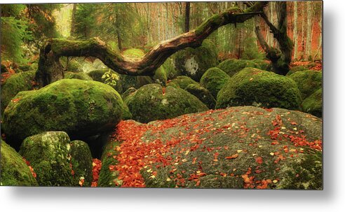 Fairy Tale Metal Print featuring the photograph The Magic Forest by Ksuhorukov